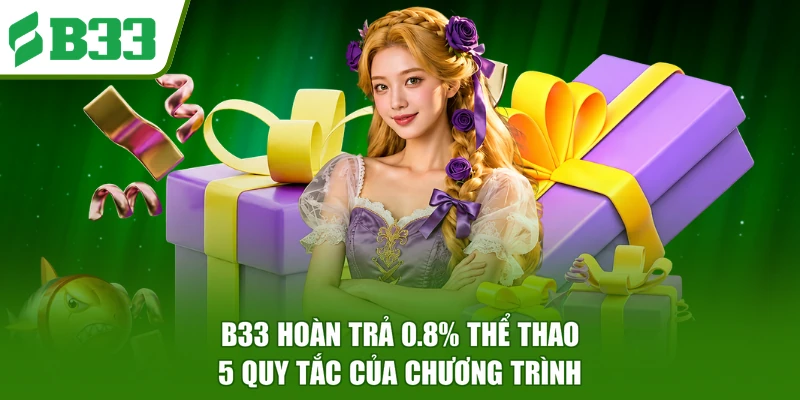 B33 Hoàn Trả 0.8% Thể Thao - 5 Quy Tắc Của Chương Trình