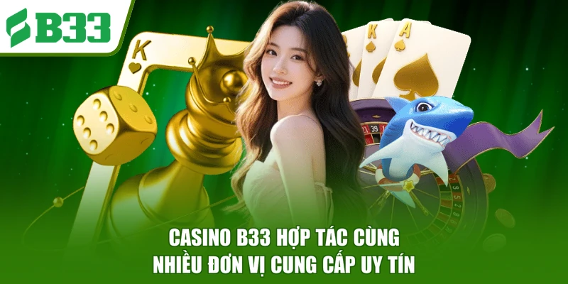 Casino B33 hợp tác cùng nhiều đơn vị cung cấp uy tín