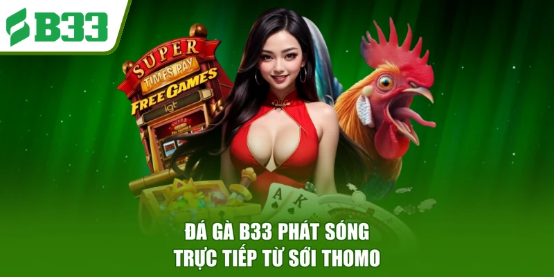Đá gà B33 phát sóng trực tiếp từ sới Thomo