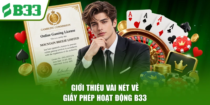 Giới thiệu vài nét về giấy phép hoạt động B33