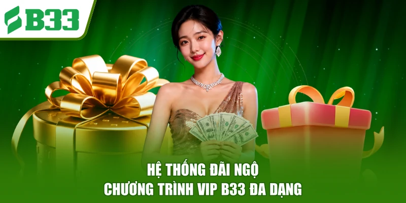 Hệ thống đãi ngộ chương trình VIP B33 đa dạng