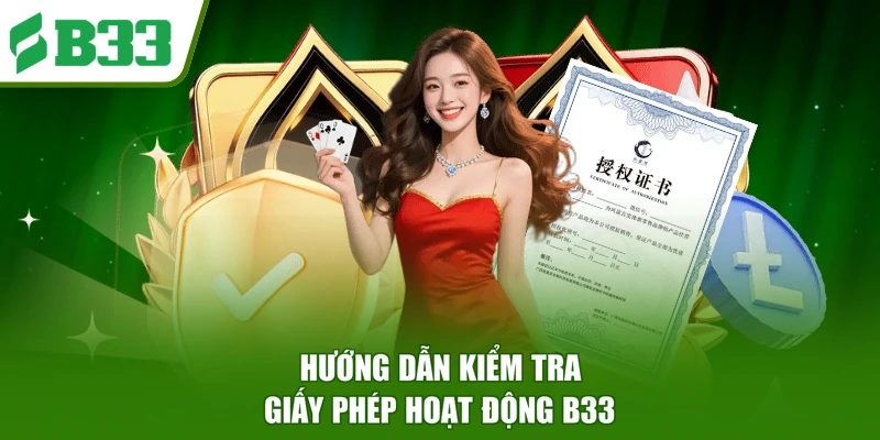 Hướng dẫn kiểm tra giấy phép hoạt động B33