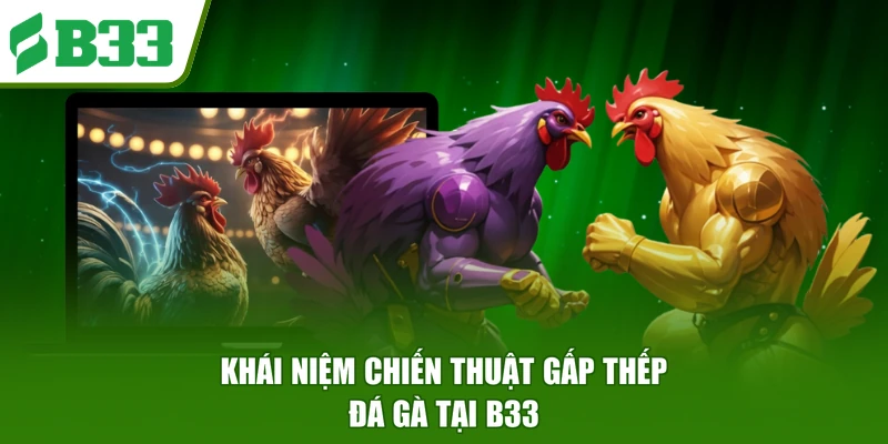 Khái niệm chiến thuật gấp thếp đá gà tại B33