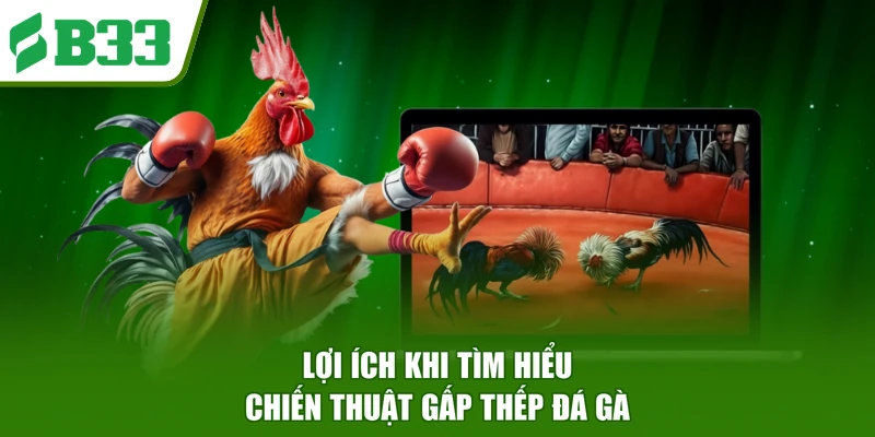 Lợi ích khi tìm hiểu chiến thuật gấp thếp đá gà