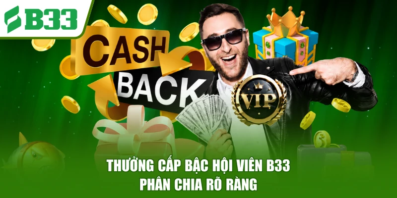 Thưởng cấp bậc hội viên B33 phân chia rõ ràng