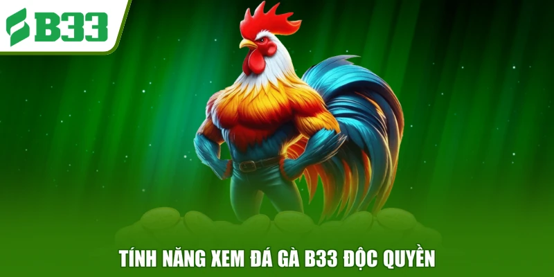 Tính năng xem đá gà B33 độc quyền